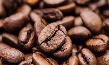 Kahve Üretiminde İş Güvenliği