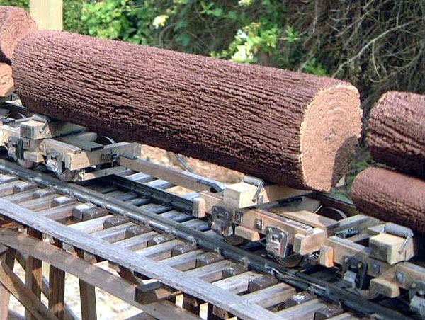 Orman Ağaç Sektöründe İş Güvenliği